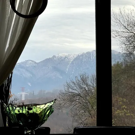 Tampa Panoramic * Brassó