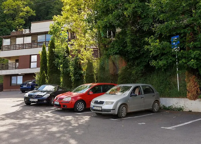 Tampa Panoramic * Brassó