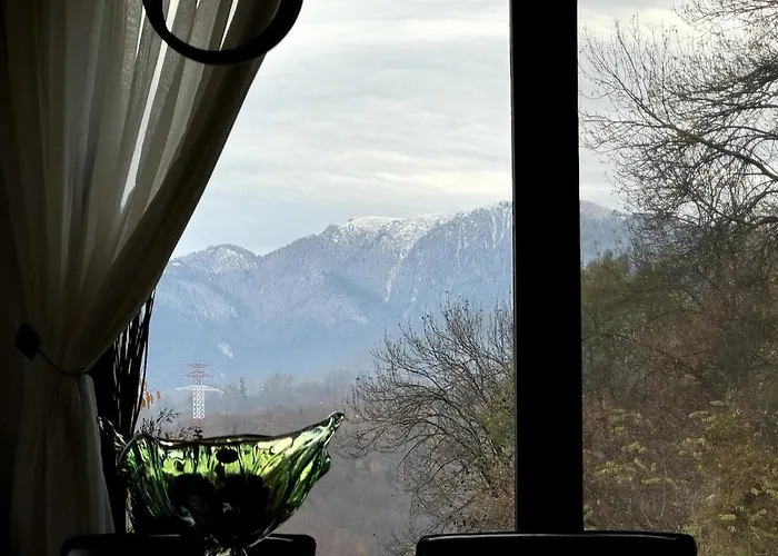 Tampa Panoramic * Brassó