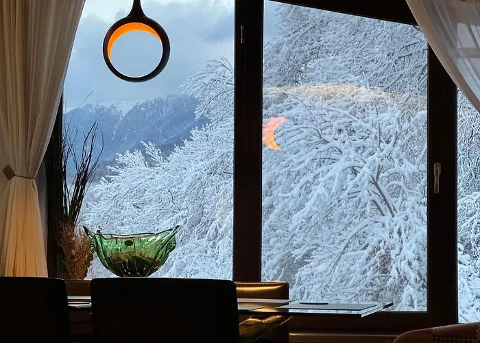 Apartman Tampa Panoramic *